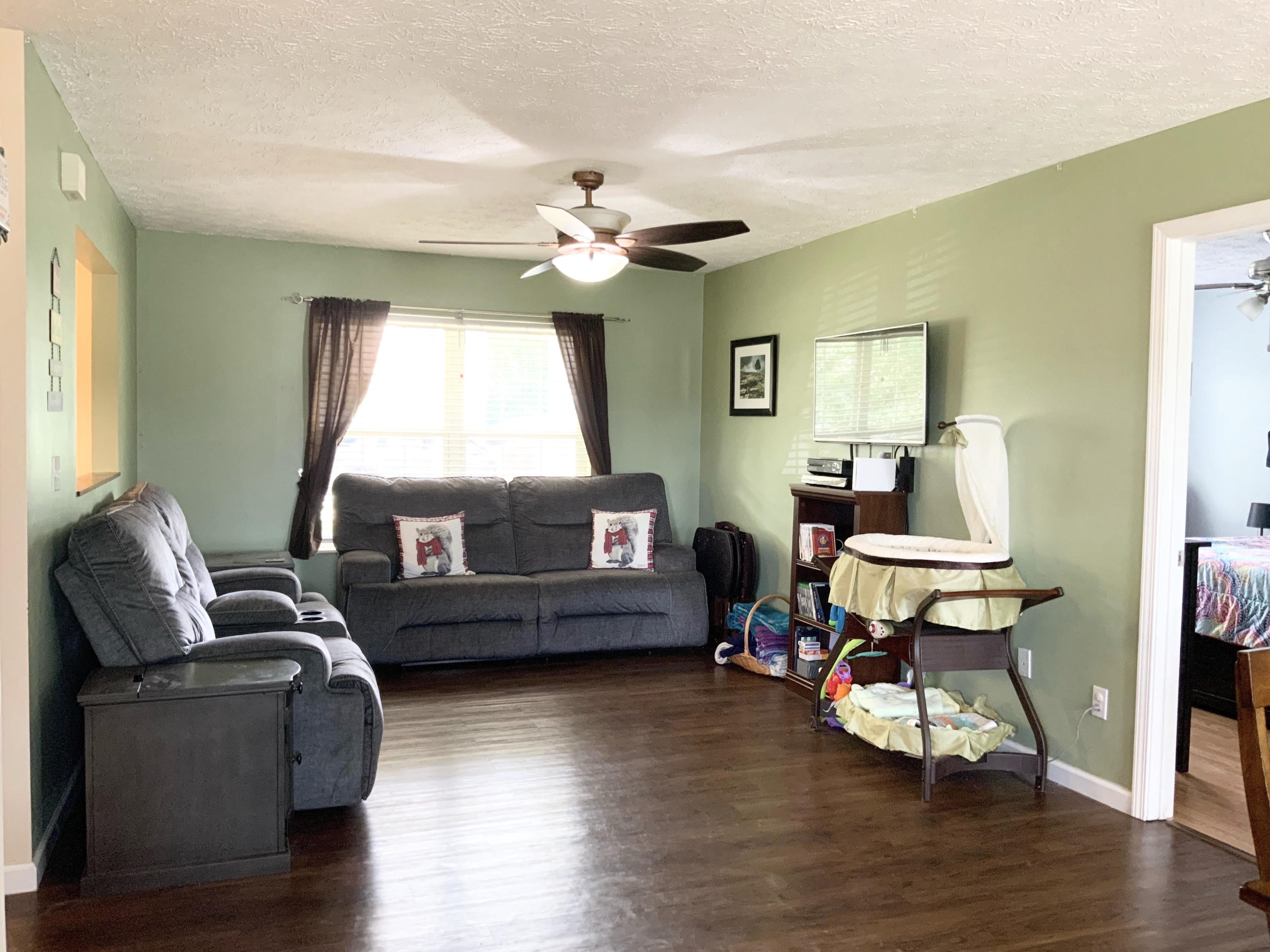 419 North Cunningham Road Seymour, TN 37865 - Photo 2 of 15 Living room straight stop