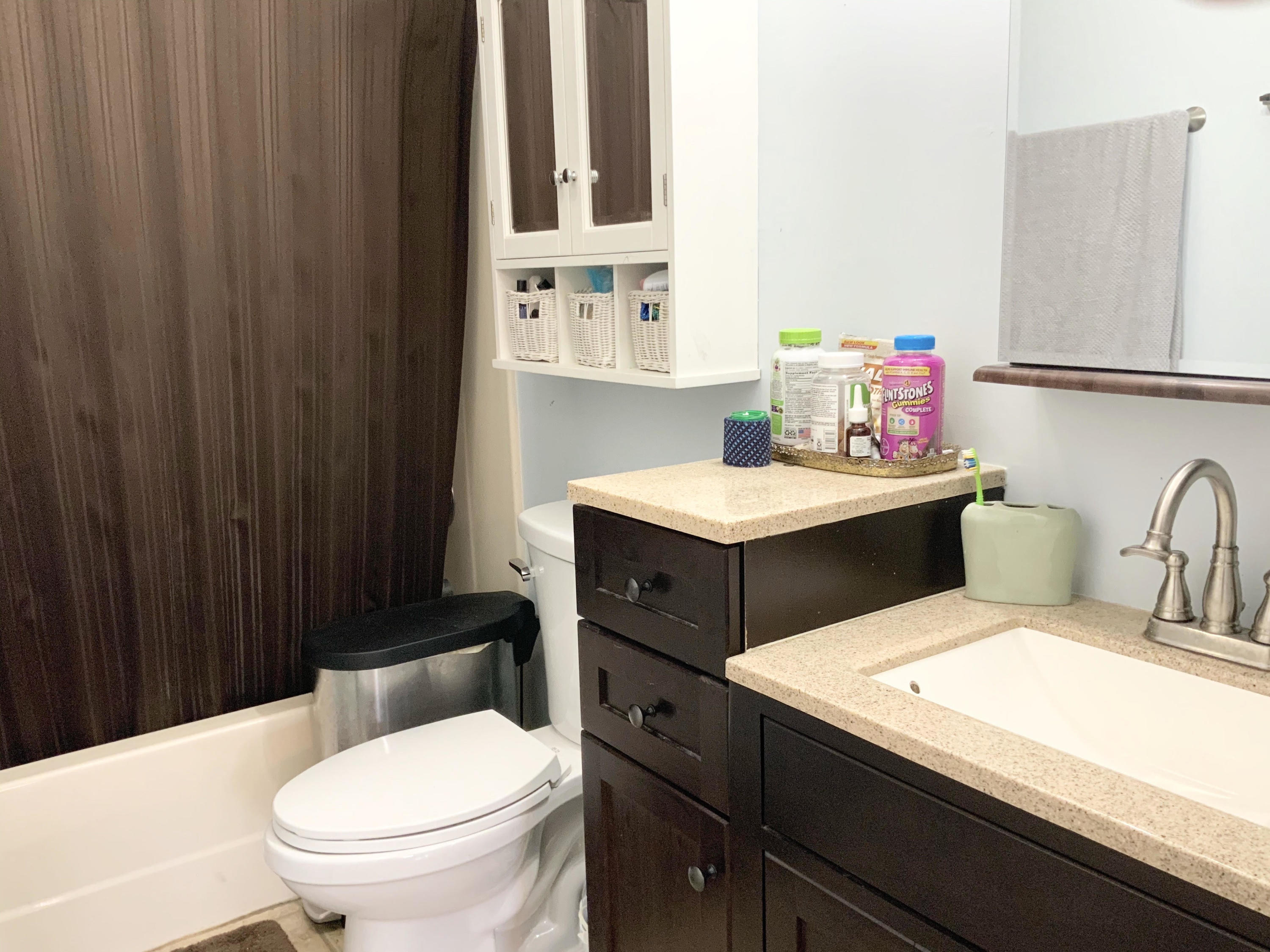 419 North Cunningham Road Seymour, TN 37865 - Photo 8 of 15 Master bath 1