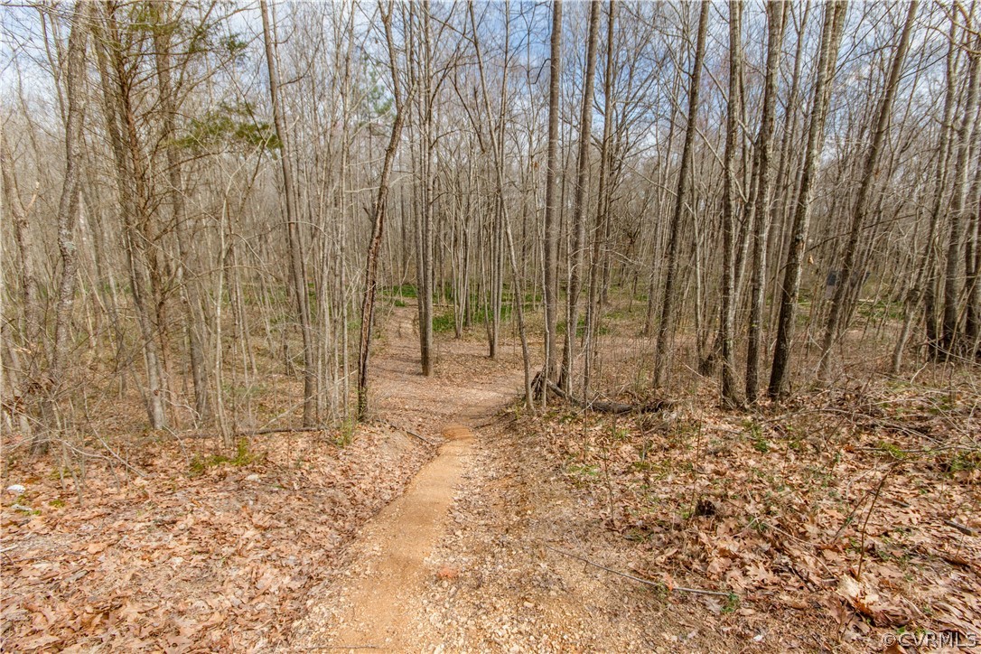 18700 Boydton Plank Road Dewitt, VA 23840 - Photo 33 of 35