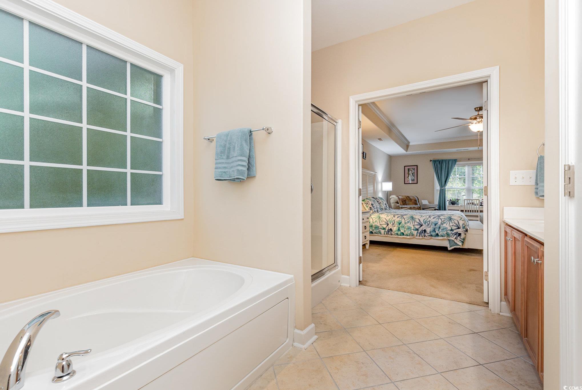 281 Marsh Tacky Loop Myrtle Beach, SC 29588 - Photo 17 of 39 Bathroom with vanity, ceiling fan, plus walk in sh