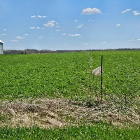 $173,500 | Tbd 870th Avenue, Spring Valley, WI 54767