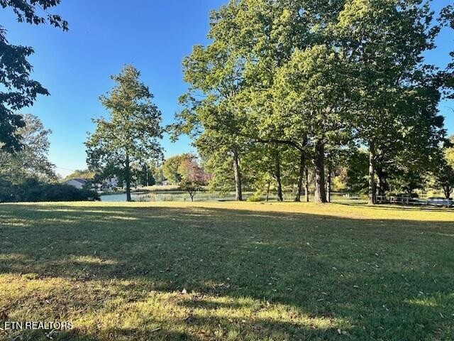5185 Bockman Way Sparta, TN 38583 - Photo 8 of 22