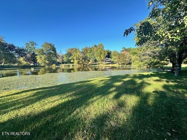 5185 Bockman Way Sparta, TN 38583 - Photo 9 of 22