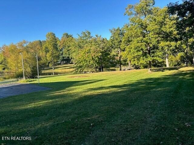 5185 Bockman Way Sparta, TN 38583 - Photo 10 of 22