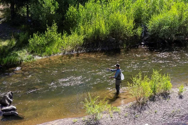 $600,000 | 38 Lonesome Pine Drive, Antonito, CO 81120