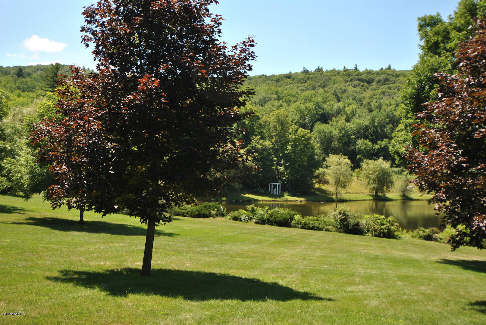 55 Maple Hill Road West Stockbridge, MA 01266 - Photo 60 of 63 a view of a tree in a yard