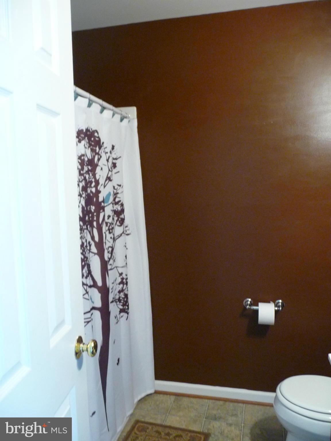 7349 Eggbornsville Road Rixeyville, VA 22737 - Photo 14 of 21 Bath (Master)