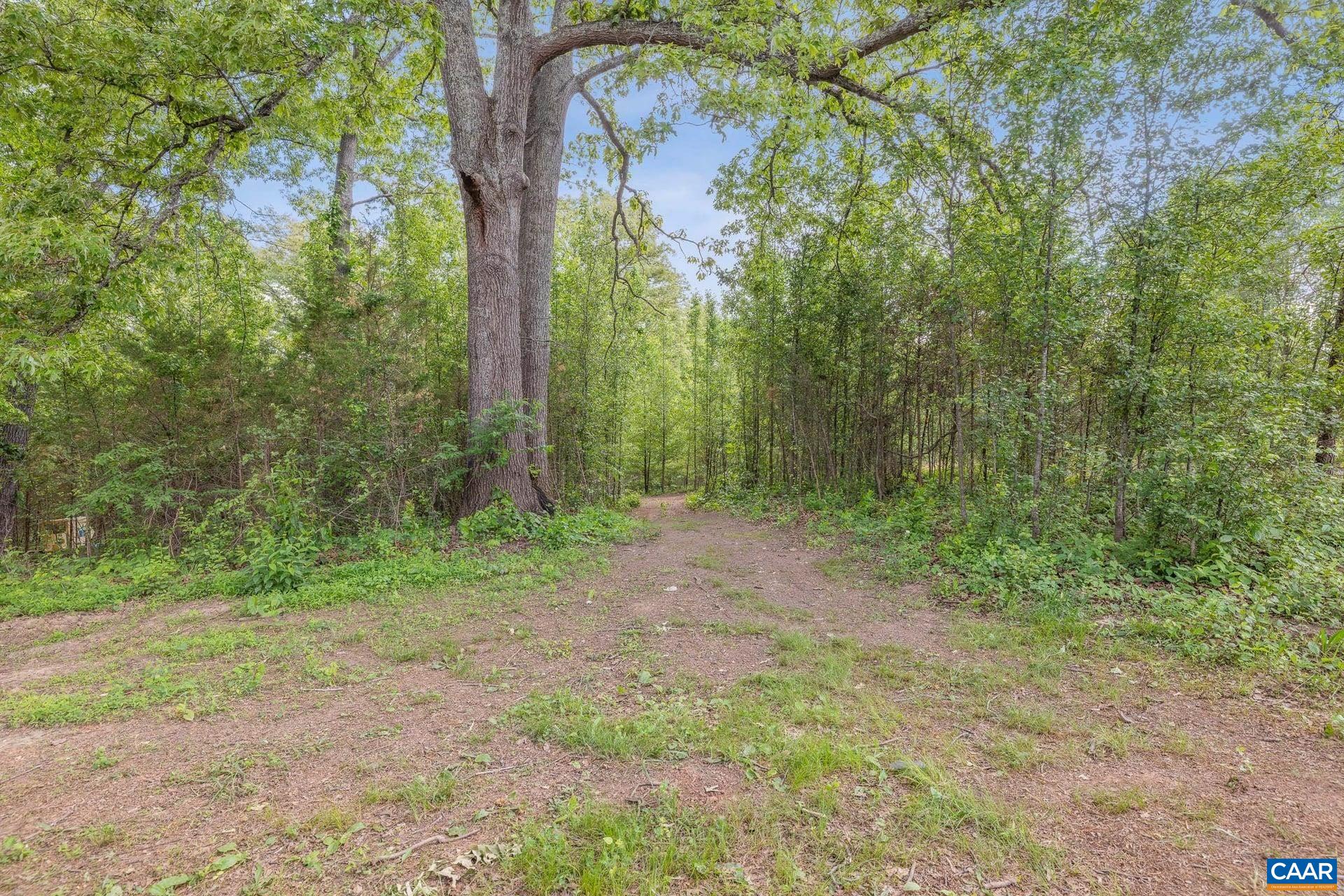 1202 Matthew Mill Road Ruckersville, VA 22968 - Photo 26 of 44