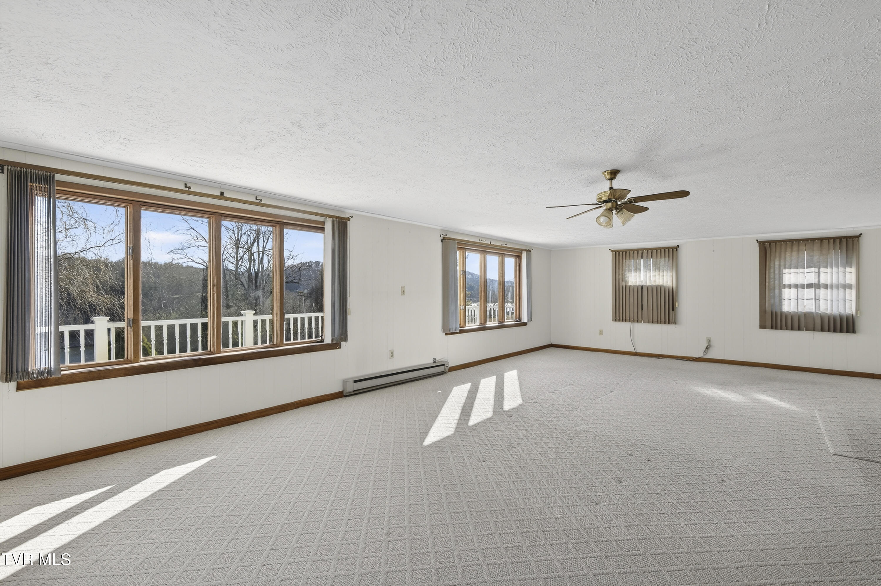 22120 Big Bass Camp Road Abingdon, VA 24211 - Photo 3 of 28 Level 1