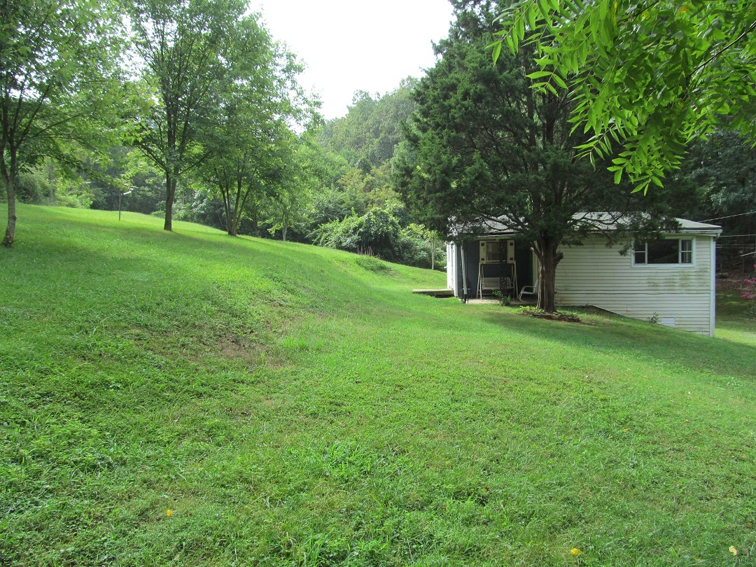 72 Clemons Road Roanoke, VA 24019 - Photo 11 of 15 a view of a backyard with large trees