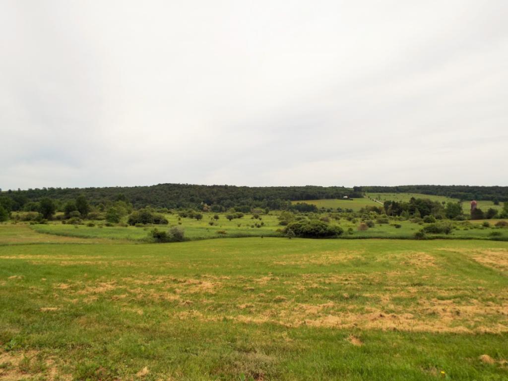 394 Carigan Road Whitney Point, NY 13862 - Photo 25 of 27