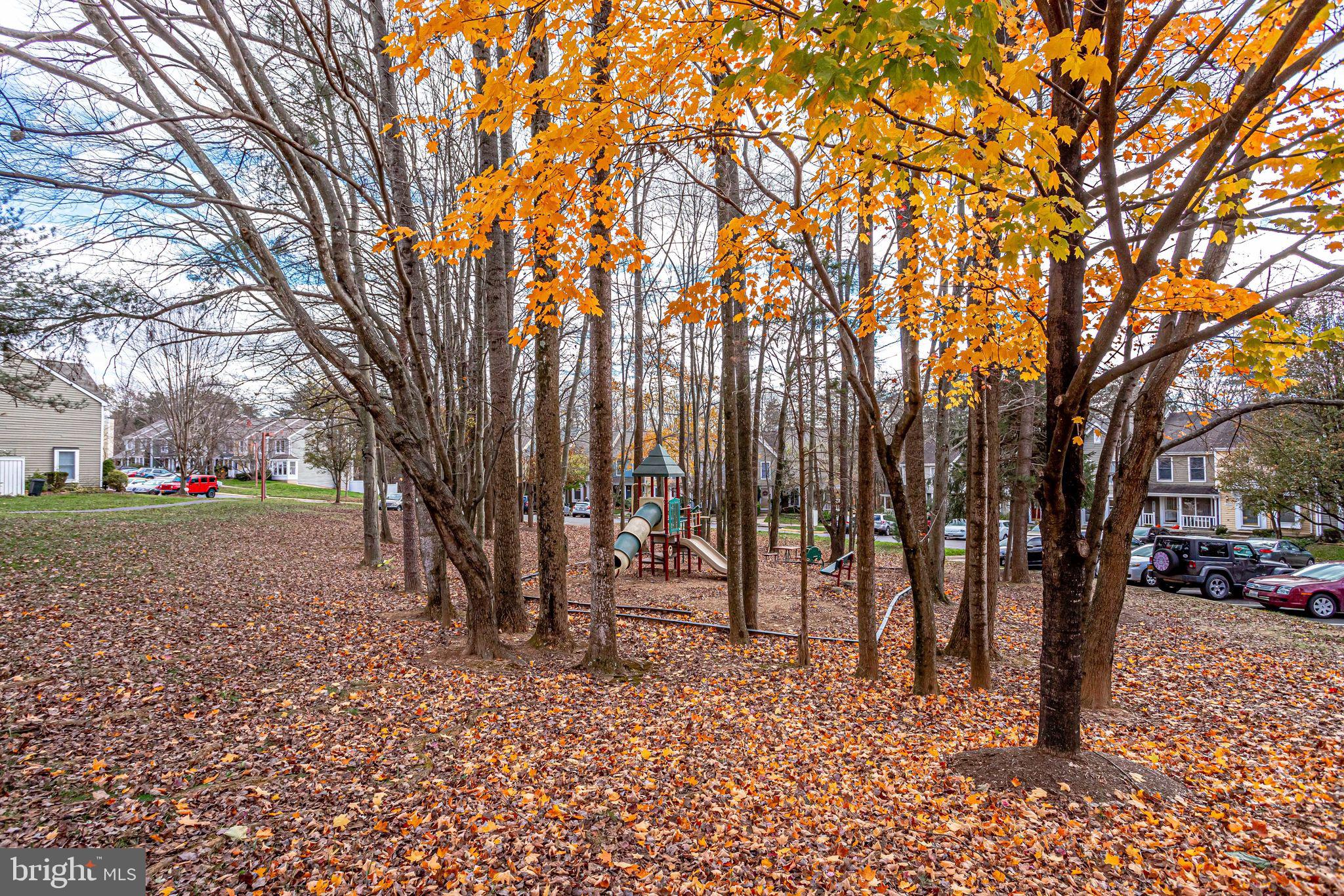 1634 Poplar Grove Drive Reston, VA 20194 - Photo 40 of 41 Gallery Image 40