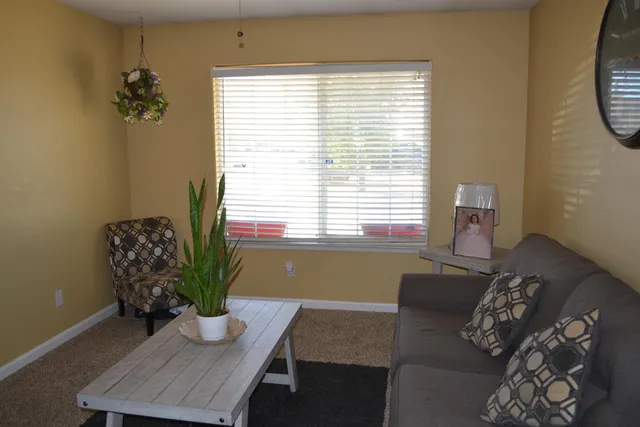 a living room with furniture a window and a fireplace