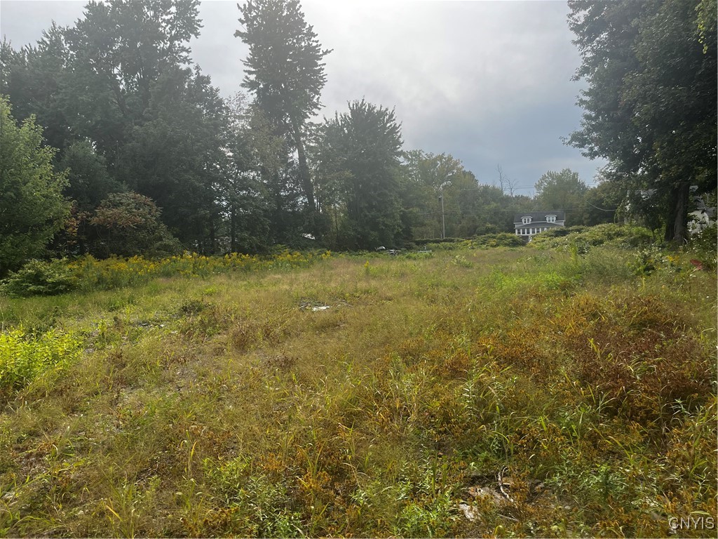 9302 Brewerton Road Cicero, NY 13029 - Photo 3 of 5