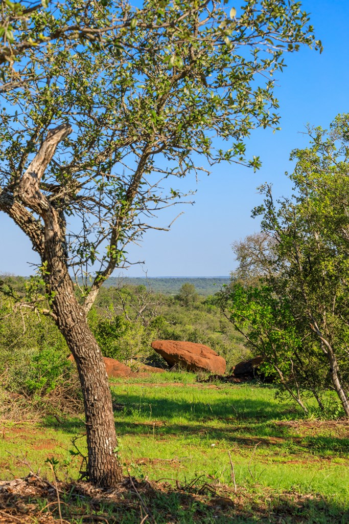Lot 5 Art Hedwigs Hill Road, Unit 5 Mason, TX 76856 - Photo 8 of 9