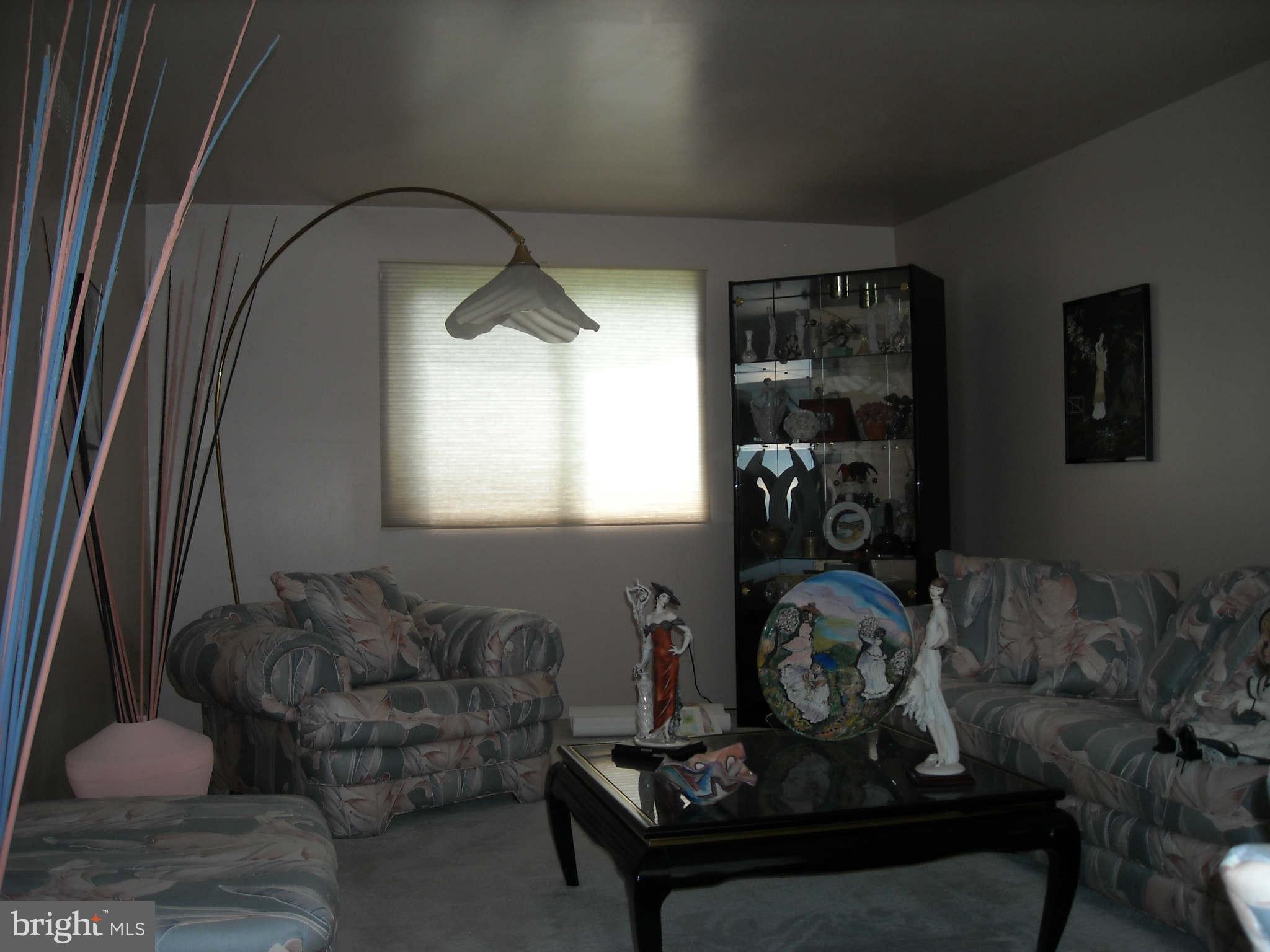 9005 Bruno Road Randallstown, MD 21133 - Photo 4 of 21 Living Room
