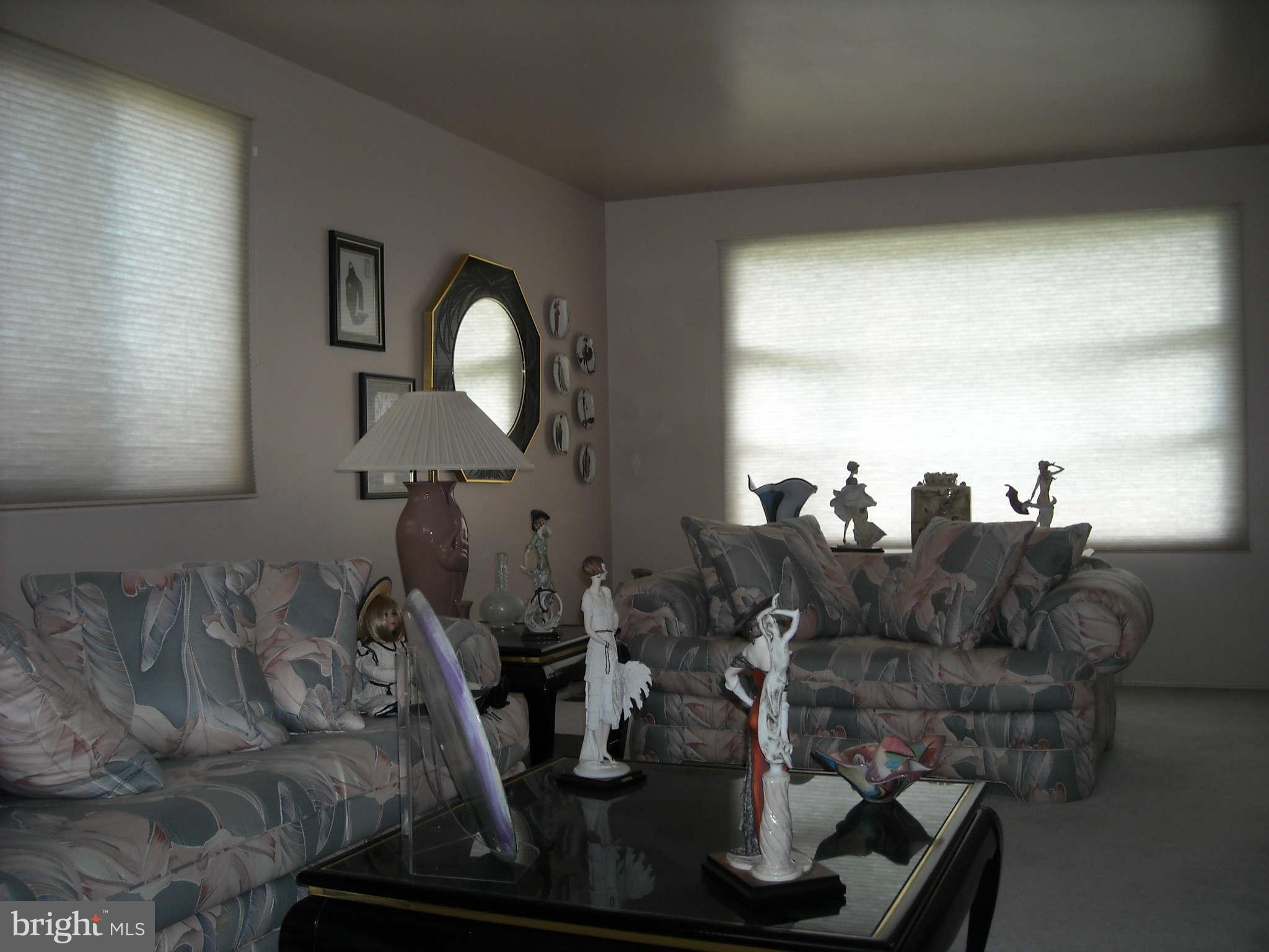 9005 Bruno Road Randallstown, MD 21133 - Photo 5 of 21 Living Room