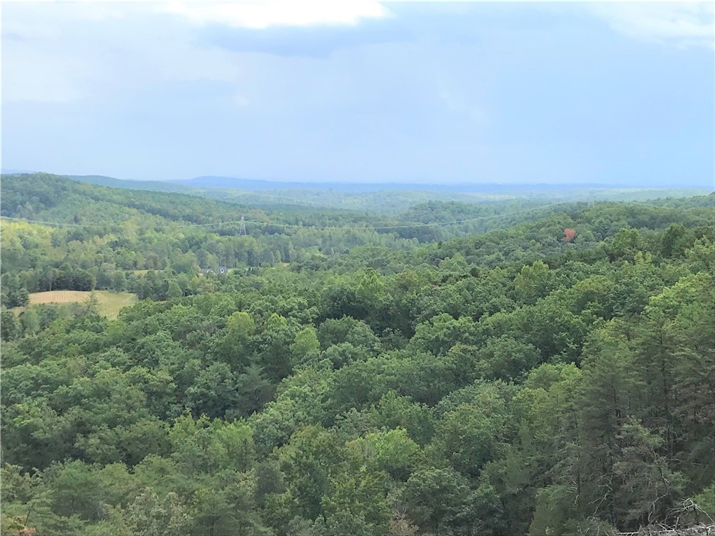 488 Upper Springs Road Pickens, SC 29671 - Photo 3 of 12