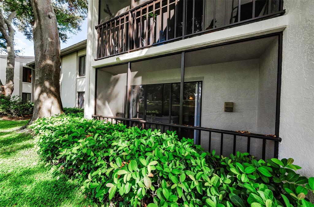 2575 Pine Ridge Way South, Unit E1 Palm Harbor, FL 34684 - Photo 1 of 25