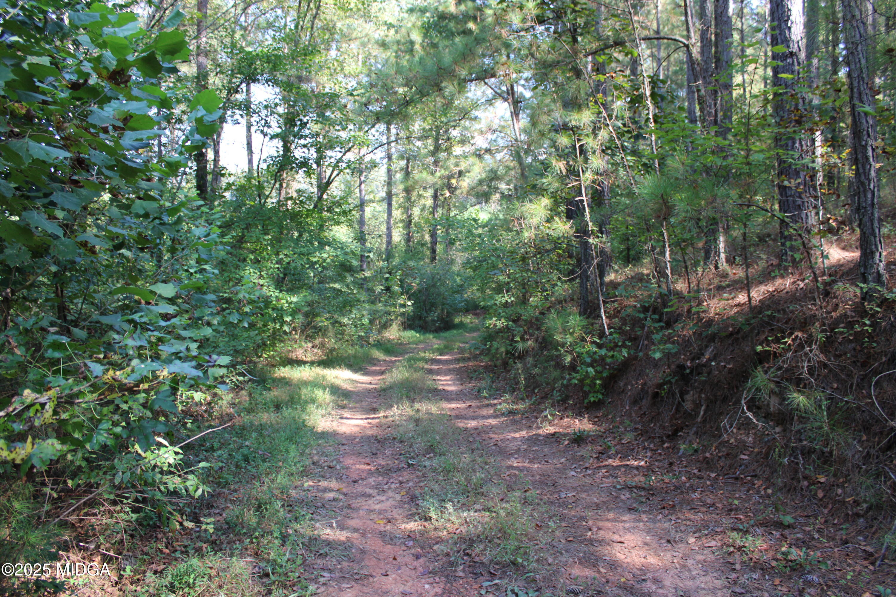 0 White Graves Road Ranger, GA 30734 - Photo 3 of 47 IMG_0340