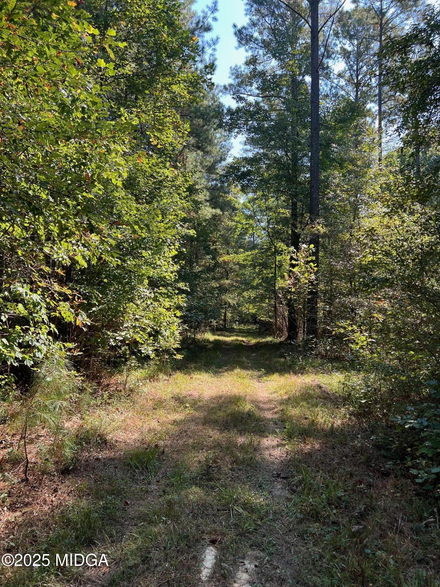 0 White Graves Road Ranger, GA 30734 - Photo 35 of 47 IMG_1444