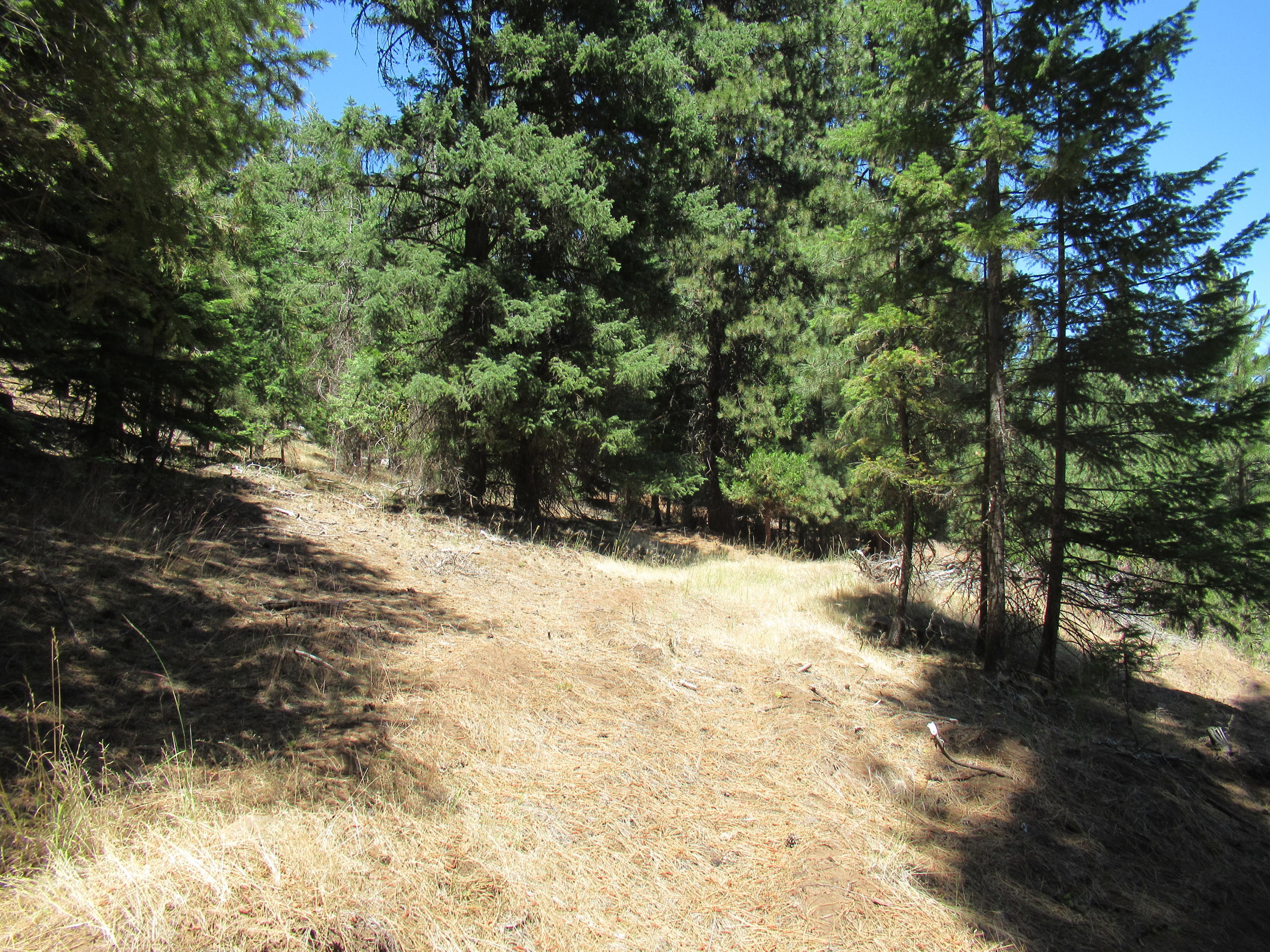 Christopher Road Keno, OR 97627 - Photo 7 of 14 Lot #1 (6)