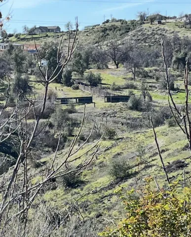 a view of a yard with wooden fence