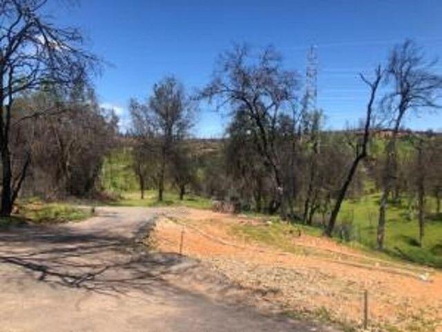 16266 Gold Pan Way Redding, CA 96001 - Photo 9 of 9 a view of backyard space and trees