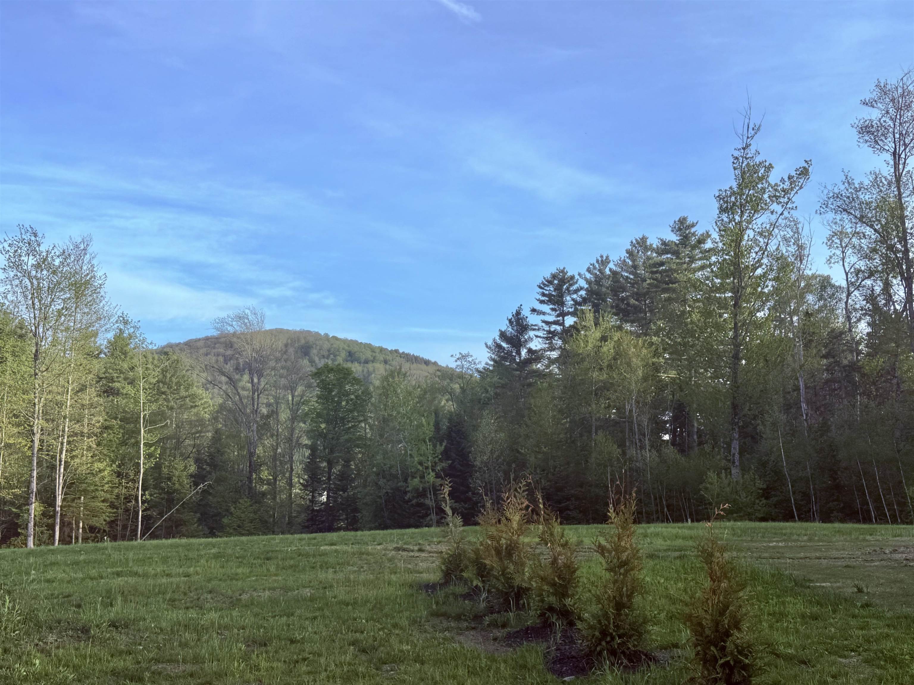 177 Old Tavern Road Weston, VT 05161 - Photo 9 of 46