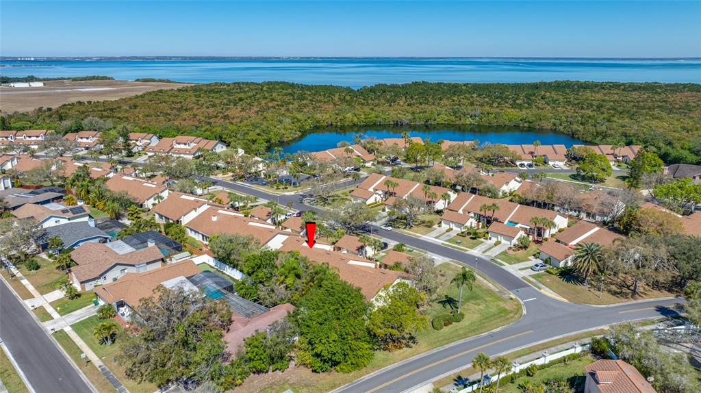 14778 Feather Cove Road Clearwater, FL 33762 - Photo 32 of 34