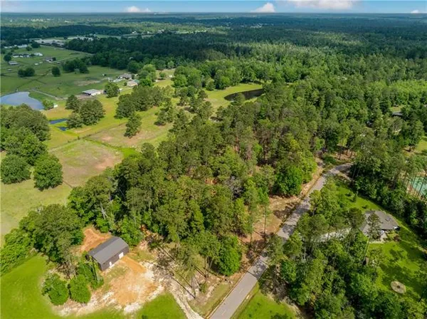 $300,000 | 0 Spirit Of The Forest Lane, Folsom, LA 70437