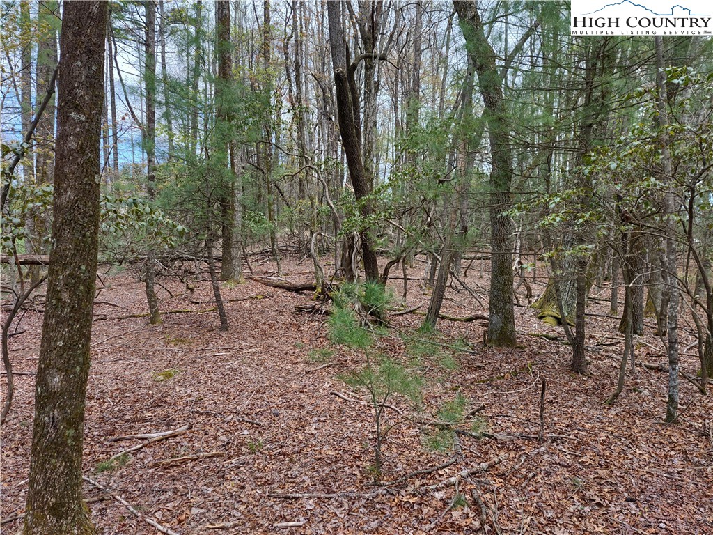 Deer Run Road, Unit 62H Glade Valley, NC 28627 - Photo 3 of 9 Gallery Image 3