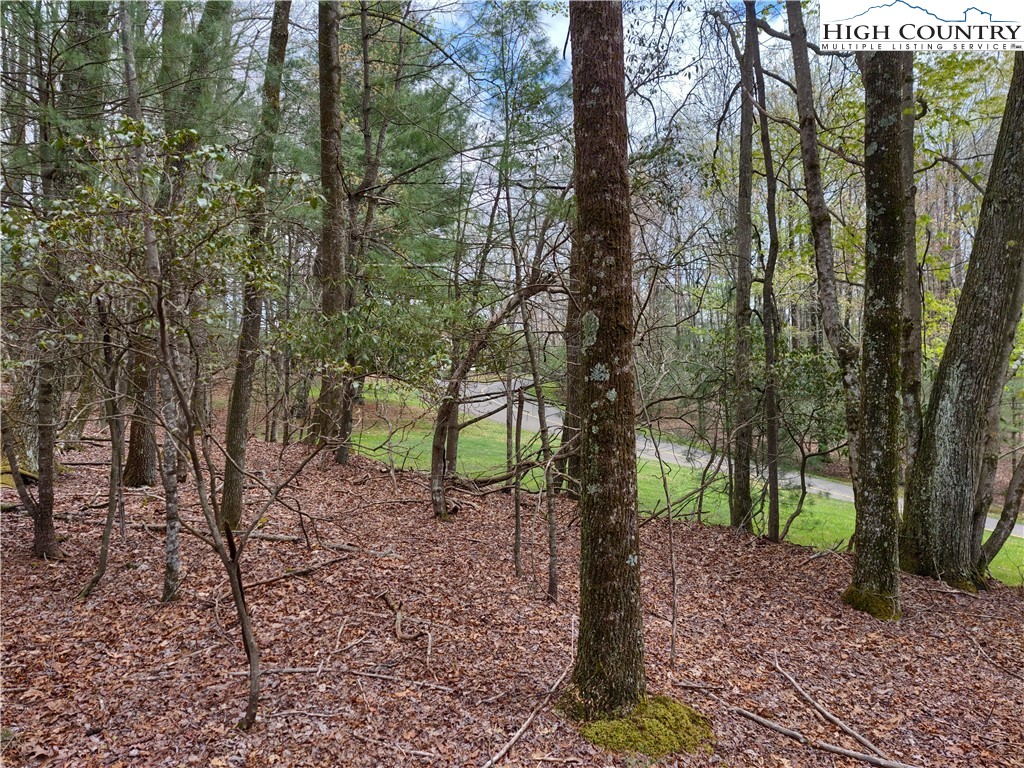 Deer Run Road, Unit 62H Glade Valley, NC 28627 - Photo 4 of 9 Gallery Image 4