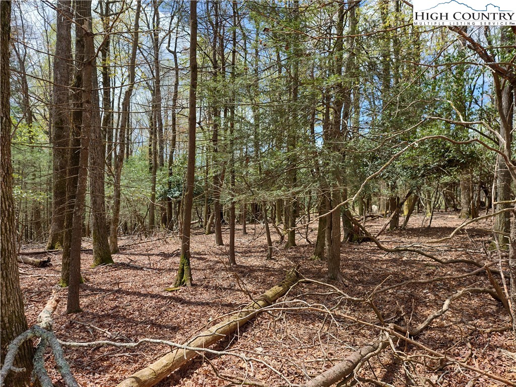 Deer Run Road, Unit 62H Glade Valley, NC 28627 - Photo 8 of 9 Gallery Image 8