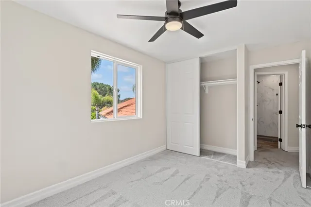 a view of a dry yard with green space