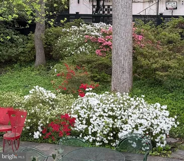a bunch of flowers are in a garden