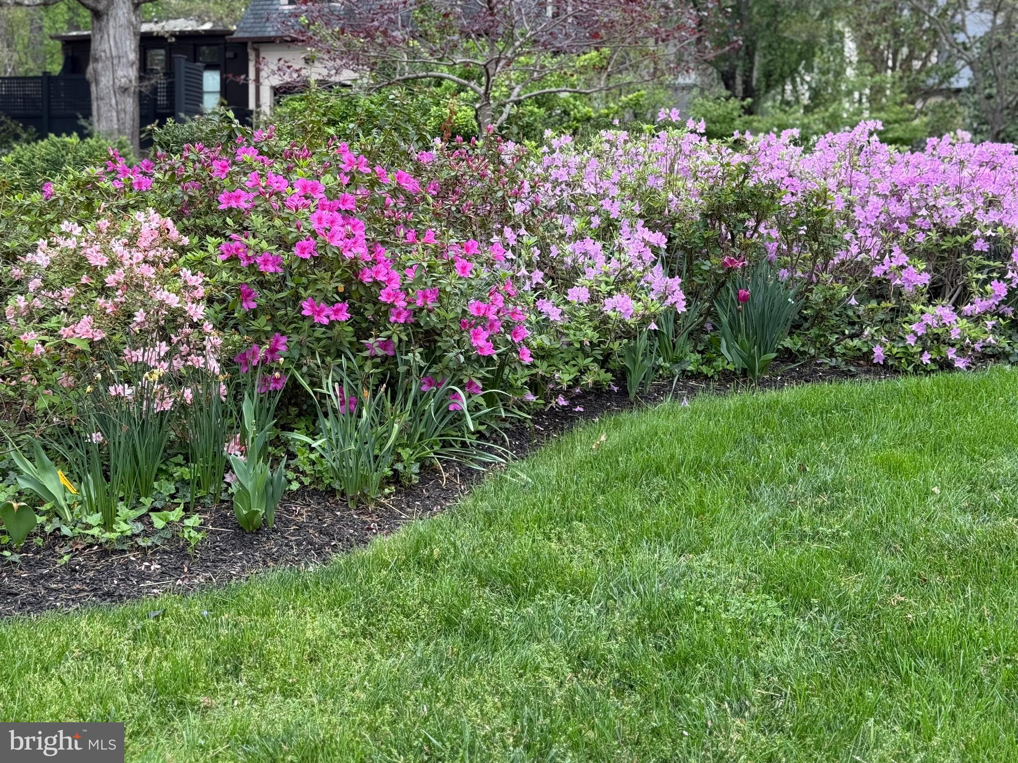 5344 Falmouth Road Bethesda, MD 20816 - Photo 23 of 25