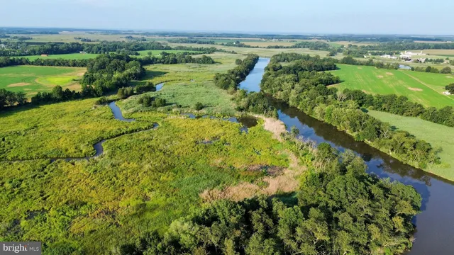 a view of a garden with an outdoor space