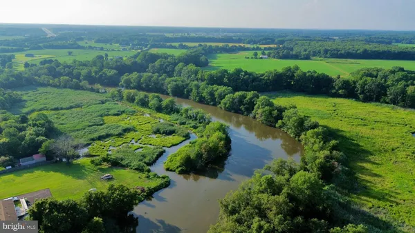 a view of a garden with an outdoor space