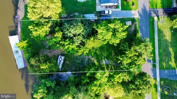 a view of a yard