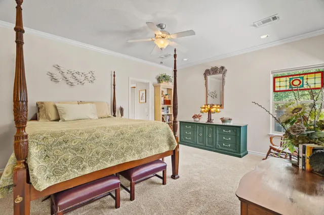 a bedroom with a bed a dresser and potted plants