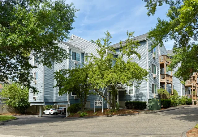 a tree in front of a building