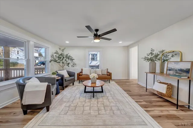 a living room with furniture a rug potted plant and a window