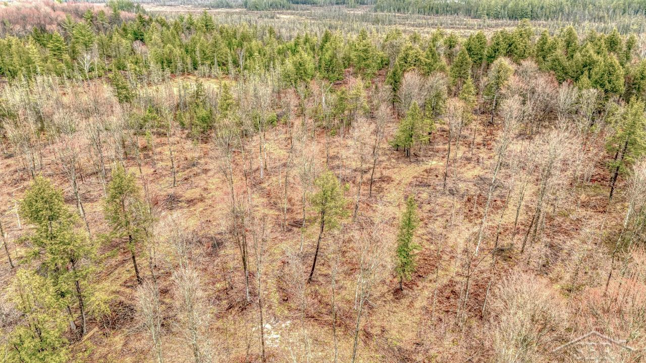 N948 Old Plank Road Wetmore, MI 49895 - Photo 5 of 26