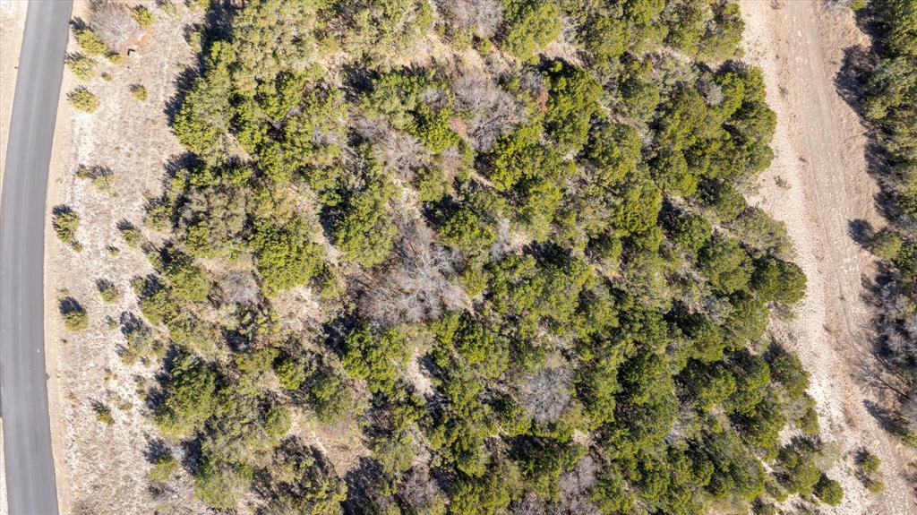 880 Sunfish Point Bluff Dale, TX 76433 - Photo 14 of 17 a view of a yard