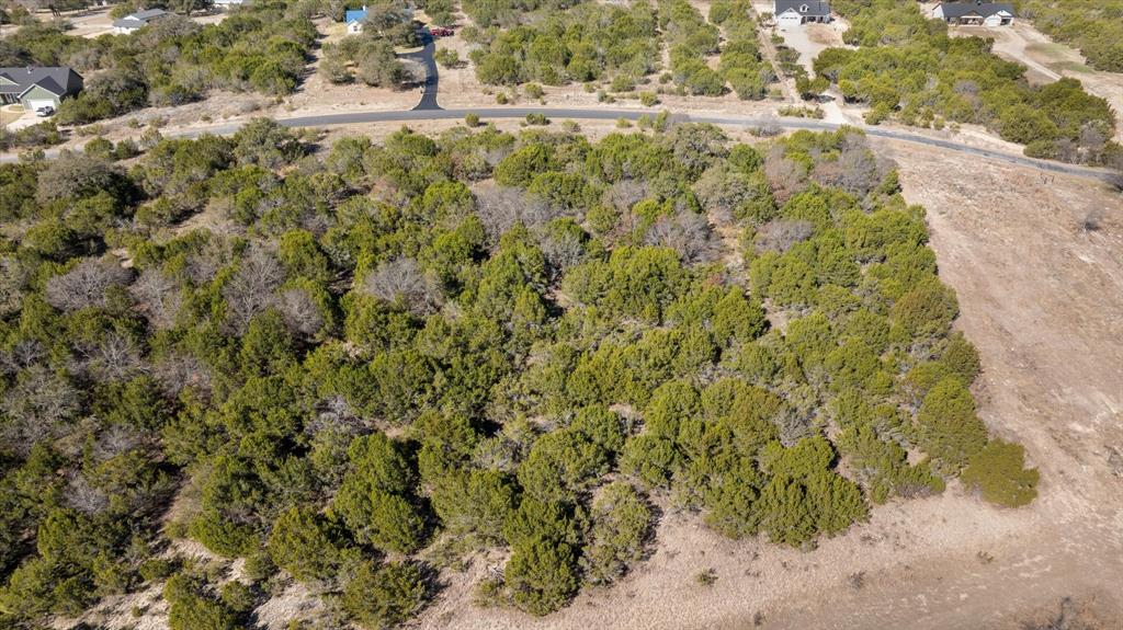 880 Sunfish Point Bluff Dale, TX 76433 - Photo 15 of 17 a view of a yard with a tree