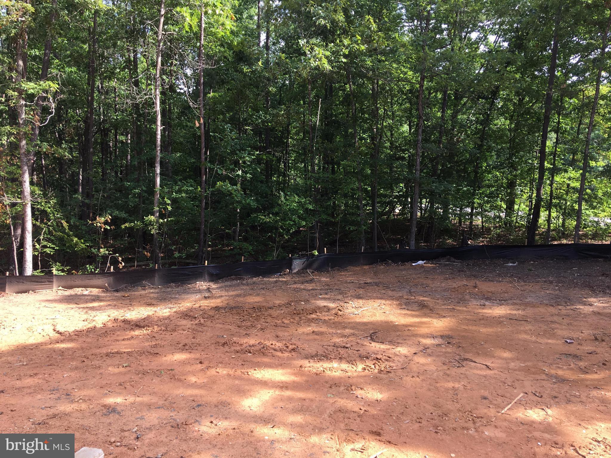 3525 Breaknock Road Bumpass, VA 23024 - Photo 2 of 26 Exterior (Rear)