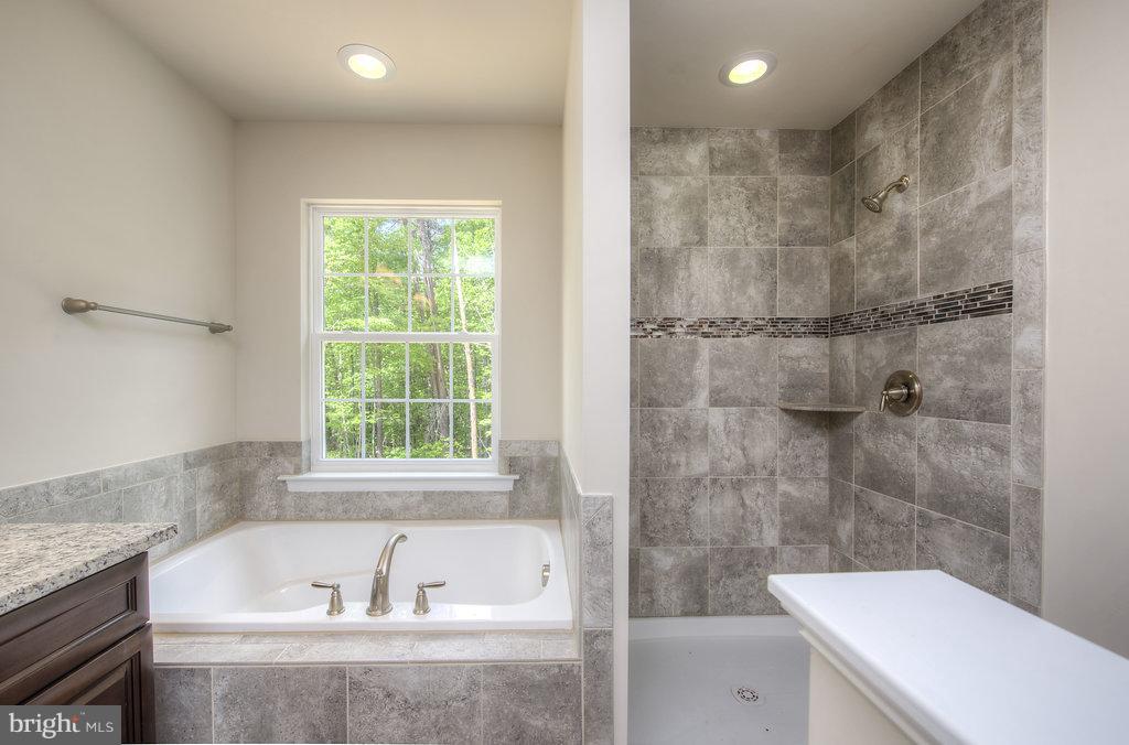 3525 Breaknock Road Bumpass, VA 23024 - Photo 14 of 26 Bath (Master)