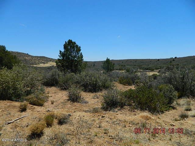 0 Lot 166 Ruger Ranch Kirkland, AZ 86332 - Photo 11 of 19 DSCN0933