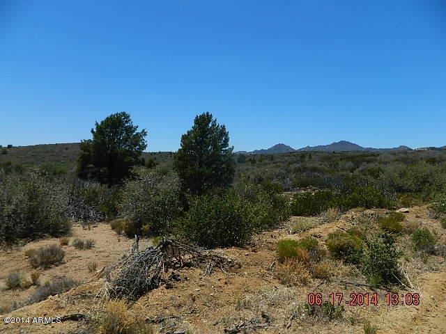 0 Lot 166 Ruger Ranch Kirkland, AZ 86332 - Photo 17 of 19 DSCN0939